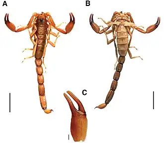 Description de cette image, également commentée ci-après