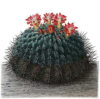 Description de cette image, également commentée ci-après