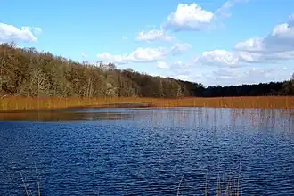 Image illustrative de l’article Étangs de Commelles