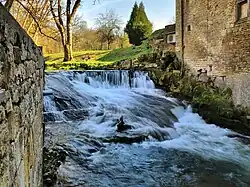 Le barrage de l'ancien moulin sur l'Audeux.