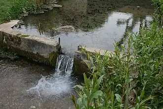 L'Orvanne juste après sa source.