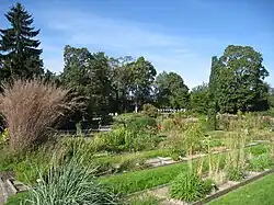 Herbetum : les graminées