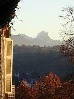 Photographie en couleurs de montagnes enneigées à l'horizon d'une forêt en automne.