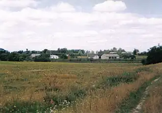 Osuchów-Kolonia (Żyrardów)