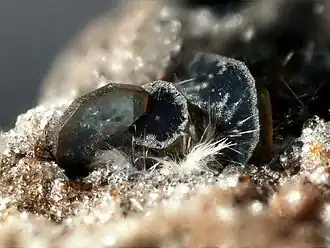 Image illustrative de l’article Mullite