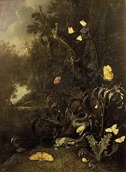 Plantes et Insectes, 1665Mauritshuis