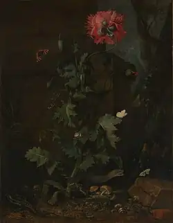 Nature morte avec coquelicot, vers 1670Metropolitan Museum of Art