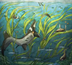 Dessin de divers animaux aquatiques au milieu d'algues vertes.