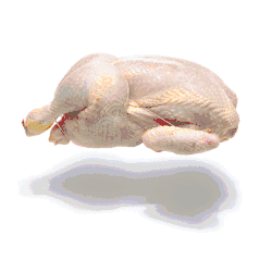 Carcasse de poulet crue.