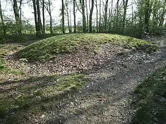 Tumulus numéro 1a au hameau de Toterfout.
