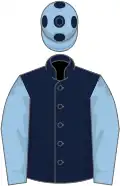 Dark blue, light blue sleeves, light blue cap, dark blue spots