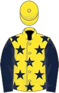 Yellow, dark blue stars and sleeves, yellow cap