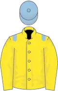 Yellow, Light Blue epaulettes and cap