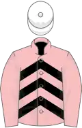 Pink, black chevrons on body, white cap