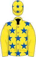 Yellow, royal blue stars, yellow sleeves