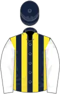 Dark blue and yellow stripes, white sleeves, dark blue cap