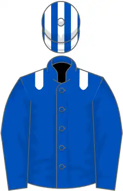 Bleu roy, épaulettes blanches, toque rayée bleue roy et blanche