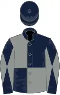 Dark blue and grey (quartered), diabolo on sleeves