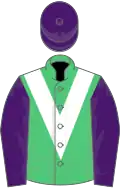 Emerald green, white chevron, purple sleeves and cap