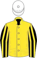 Jaune, manches rayées noires et jaunes, toque blanche