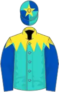 Turquoise, yellow shoulders, royal blue sleeves, turquoise and royal blue quartered cap, yellow star