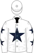 White, dark blue star, white sleeves, dark blue stars