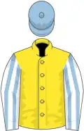 Yellow, white sleeves, light blue striped, light blue cap