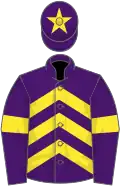 Purple, yellow chevrons, armlets and star on cap