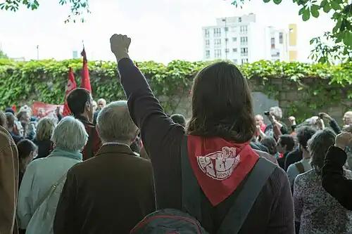 Photographie montrant des manifestants vus de dos, l'un brandissant le poing droit au centre.