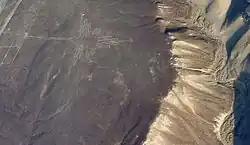 colibri (autre point de vue).