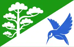 Drapeau de Põlva