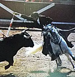 Image illustrative de l’article Pablo Hermoso de Mendoza