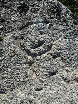 Enthropomorphe moderne