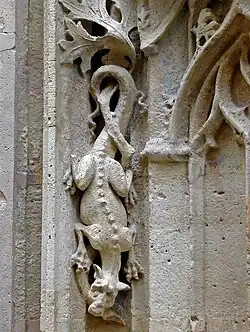 Bestiaire : salamandre.