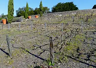 Jardin méditerranéen.