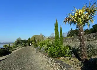 Jardin méditerranéen.