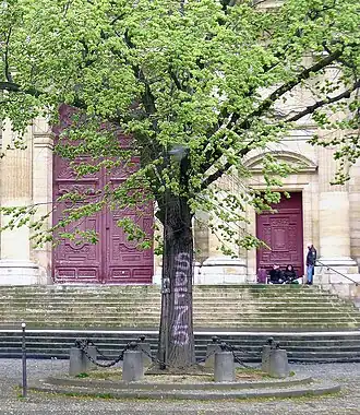 L'Orme Saint-Gervais entouré autrefois de sa clôture. (2017)