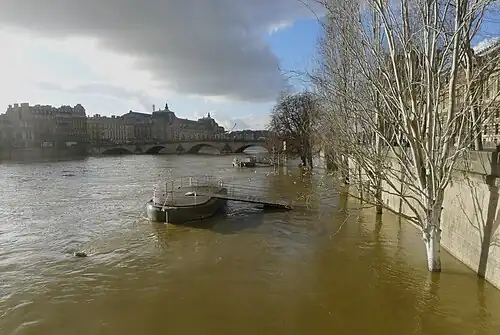 Crue de Janvier 2018, du côté du pont Royal.