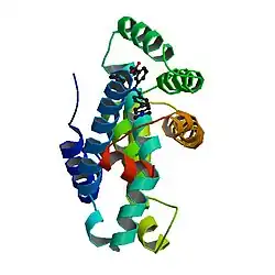 Image illustrative de l’article Récepteur farnésoïde X