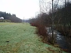 Le Breuchin à La Longine.