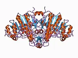 Description de cette image, également commentée ci-après