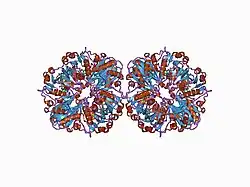 Description de cette image, également commentée ci-après