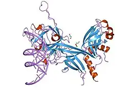 Description de cette image, également commentée ci-après