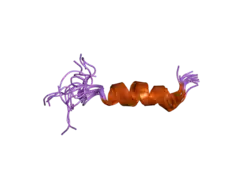 Image illustrative de l’article Humanine