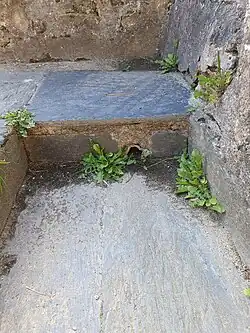 Canalisation d'évacuation en plomb du pédiluve.