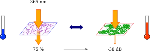 Pour T < LCST, le PNIPAM est transparent et laisse passer 75 % du signal lumineux à 365 nm. À T > LCST, le PNIPAM se replie et devient opaque, provoquant une atténuation de -38dB par rapport à l'état transparent.
