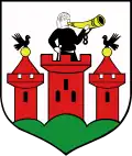 Blason de Łęczyca