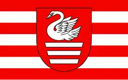 Drapeau de Biłgoraj