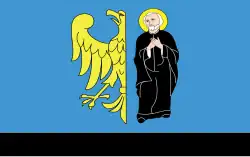 Drapeau de Czechowice-Dziedzice