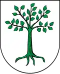 Blason de Kruszwica